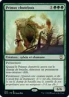 Product image for Primus chutebois