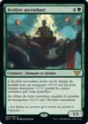 Product image for Acolyte ascendant