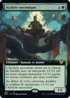 Product image for Acolyte ascendant