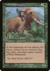 Product image for Wild Mammoth
