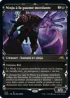 Product image for Ninja à la paume mordante