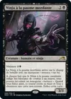 Product image for Ninja à la paume mordante