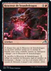 Product image for Réacteur de brandedragon