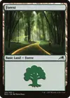 Product image for Forest