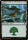 Product image for Forest