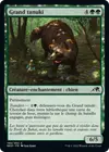 Product image for Grand tanuki