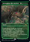 Product image for Invocation des anciens