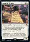 Product image for Écharpe de lion
