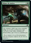 Product image for Blâme du maître