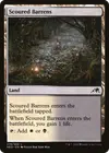 Product image for Scoured Barrens