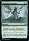 Product image for Saison du renouveau