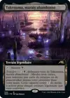 Product image for Takenuma, marais abandonné