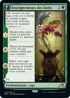 Product image for Enseignements des kirin // Orochi touché par les kirin