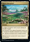 Product image for Havre inexploré