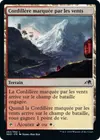 Product image for Cordillère marquée par les vents