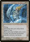 Product image for Serra Angel