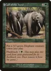 Product image for Call of the Herd