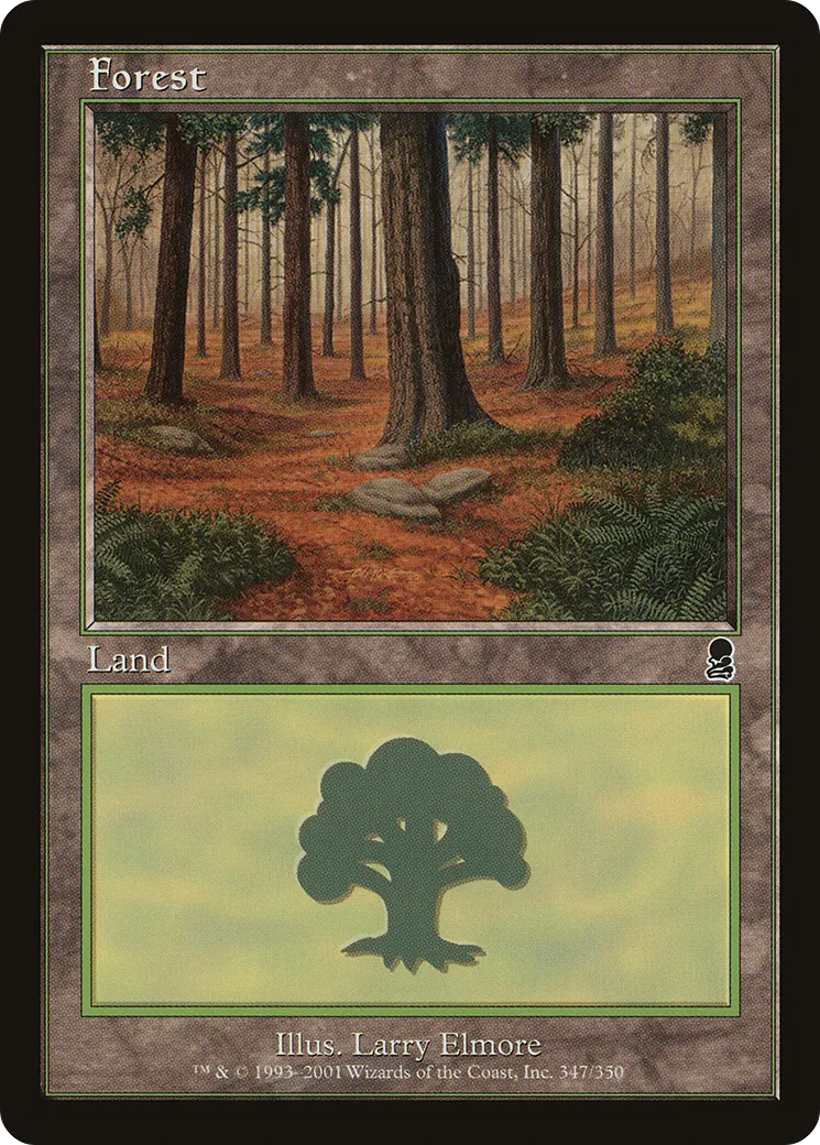 Forest — Odyssey — Magic: The Gathering