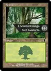 Product image for Forêt
