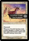 Product image for Antilope gracieuse