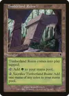 Product image for Timberland Ruins