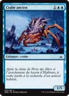 Product image for Crabe ancien