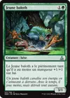 Product image for Jeune baloth