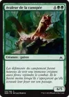 Product image for Avaleur de la canopée