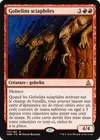 Product image for Gobelins sciaphiles