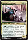 Product image for Auxiliaire de Joraga