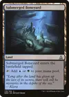 Product image for Submerged Boneyard