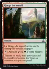 Product image for Gorge du massif