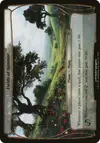 Product image for Fields of Summer