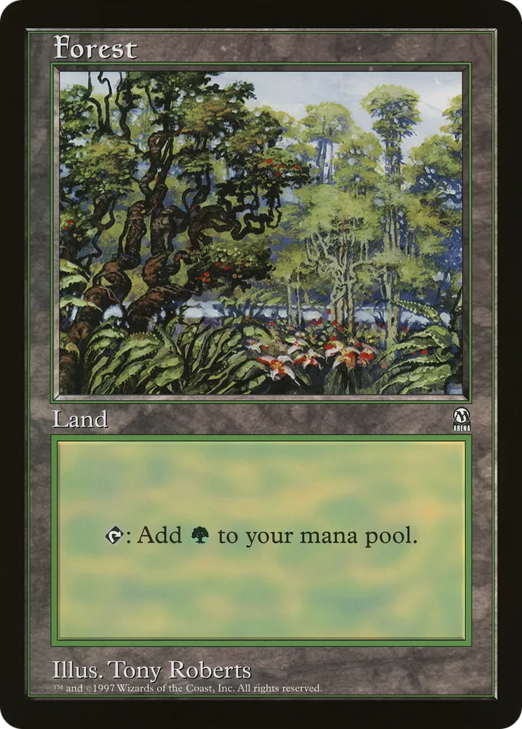 Forêt — Oversized League Prizes — Magic: The Gathering