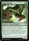 Product image for Blight Mamba