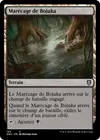 Product image for Marécage de Bojuka