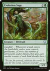 Product image for Evolution Sage