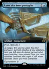 Product image for Lame des âmes partagées