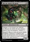 Product image for Rat au ventre de peste