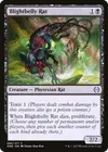 Product image for Blightbelly Rat