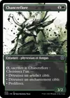 Product image for Chancreflore