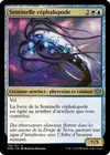Product image for Sentinelle céphalopode