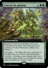 Product image for Couvoir de goliaths