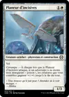 Product image for Planeur d'incisives