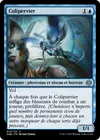 Product image for Colipervier
