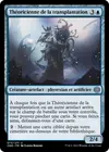 Product image for Théoricienne de la transplantation