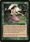 Product image for Bloodline Shaman