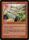 Product image for Brightstone Ritual