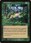 Product image for Elvish Guidance