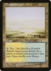 Product image for Flooded Strand